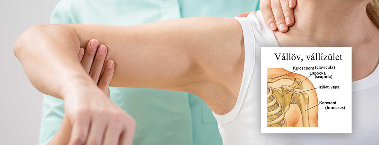 Bicepszín gyulladás - Dr. Nyőgér Zoltán | Ortopéd, balesetsebész szakorvos, magánrendelés, Győr